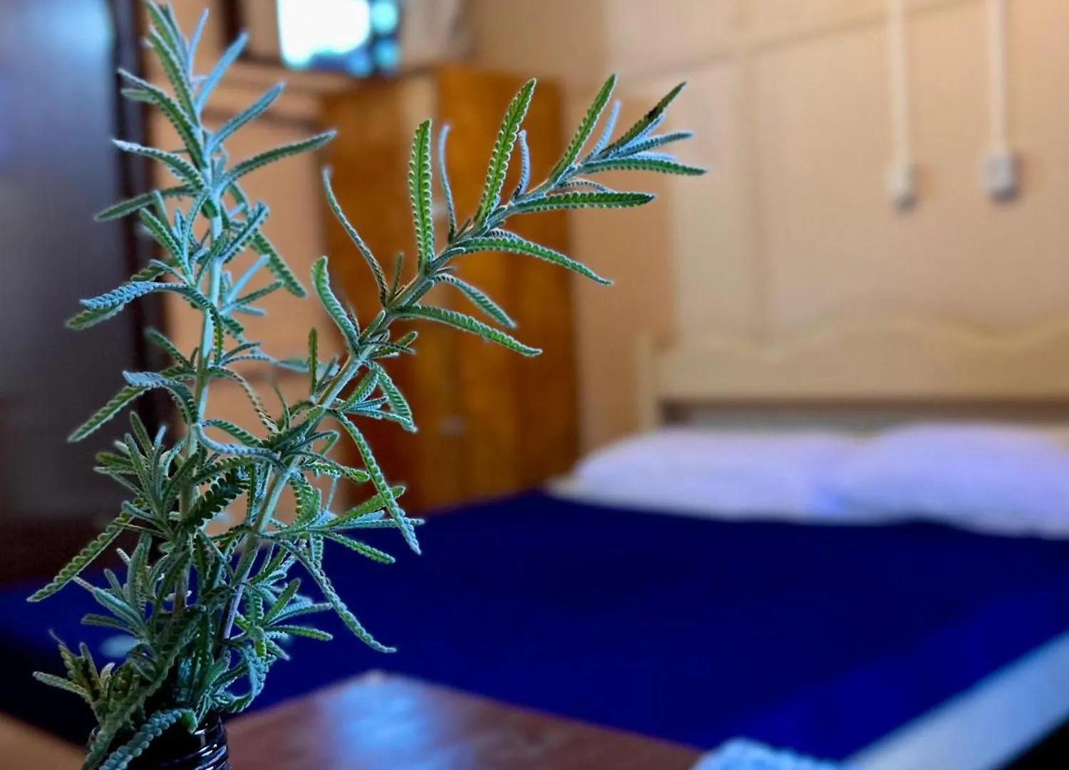 Hostel Antonio Pescador - Centro Da Guarda do Embaú البرازيل